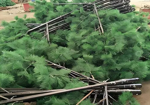 مظهر واقعي